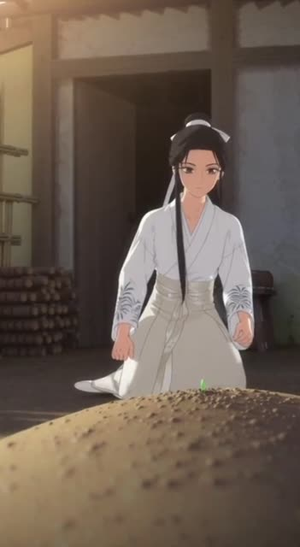 青芜记忆（29集）热播短剧排行榜