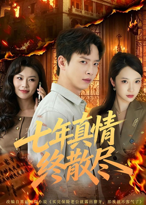 七年真情终散尽（60集）网上可以看吗