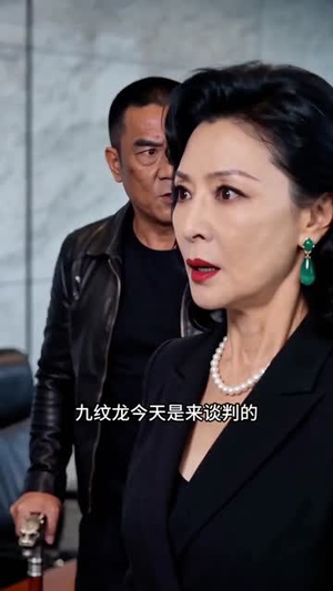 龙隐十八年（88集）精彩好看的短剧