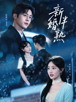 新婚半熟(68集) 新婚半熟(68集)全集下载