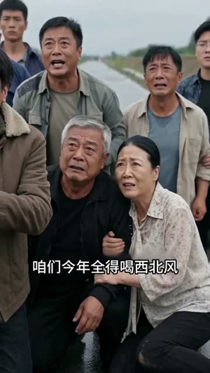 收回五百万修的路后，全村人后悔了（40集）短剧