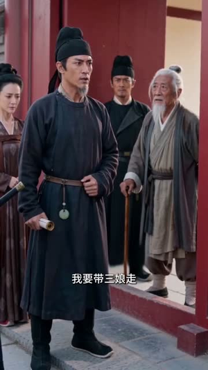 落魄书生成皇帝省亲蒙难（56集）好看短剧分享