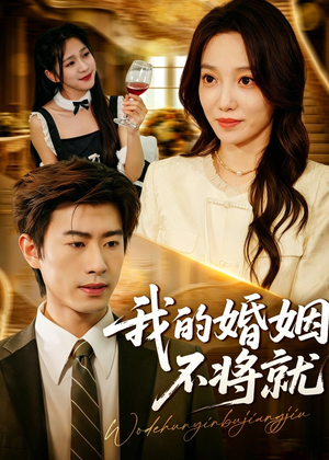 我的婚姻不将就（30集）UC网盘在线看