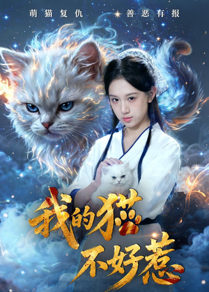 我的猫不好惹（42集）精彩的网络短剧