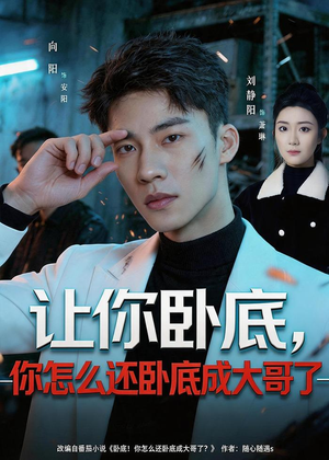 让你卧底，你怎么还卧成大哥了（80集）短剧免费看
