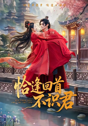 恰逢回首不识君（72集）精彩热门短剧