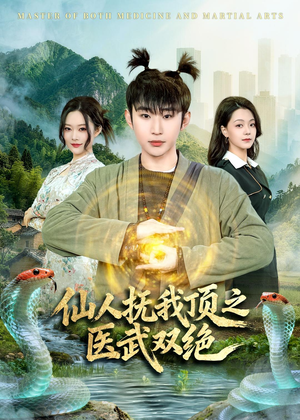 仙人抚我顶之医武双绝（66集）短剧在线观看