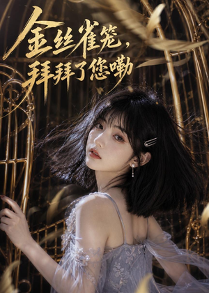 金丝雀笼，拜拜了您嘞（40集）精彩短剧后续