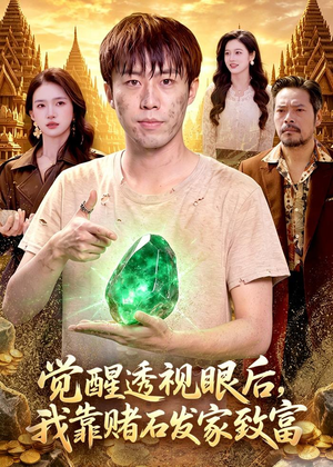 觉醒透视眼后，我靠赌石发家致富（89集）红果免费看短剧