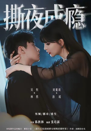 撕夜成瘾（74集）免费看