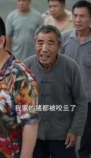 风起山林之退蛇守村（61集）短剧