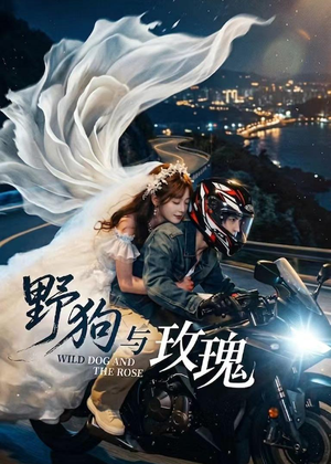 野狗与玫瑰(30集) 野狗与玫瑰(30集)热播古装短剧