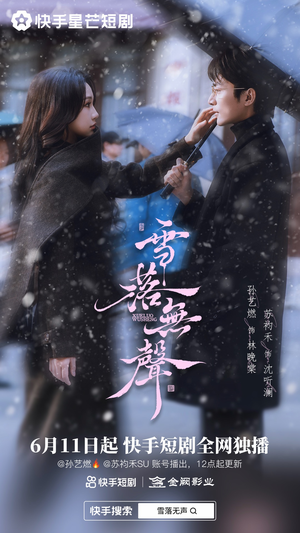 雪落无声（20集）第一季