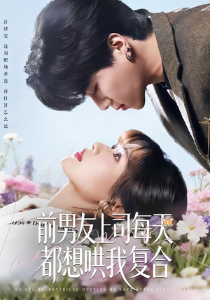 前男友上司每天都想哄我复合（77集）免费短剧资源