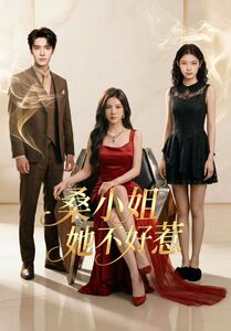桑小姐她不好惹（103集）高分推荐免费看