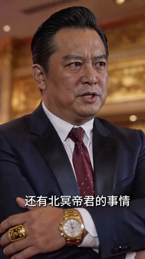 隐凤出山（94集）UC网盘在线看