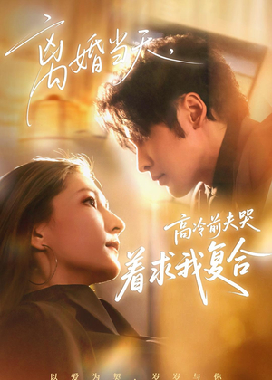 离婚当天，高冷前夫哭着求我复合（77集）一共多少集