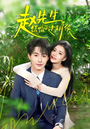 赵先生结婚证过期不候（50集）评价怎么样