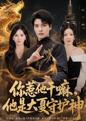 你惹他干嘛，他是大夏守护神（78集）爱上了这部剧了