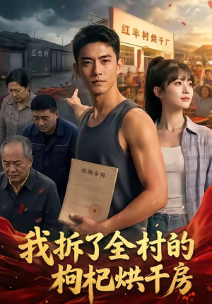 我拆了全村的枸杞烘干房（40集）免费在线看