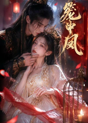 笼中凤（44集）热播短剧抢先看
