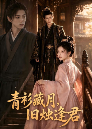 青衫藏月，旧烛逢君（56集）短剧热门分享