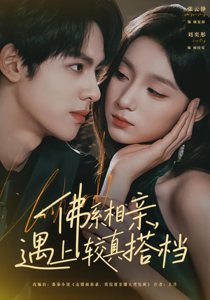 佛系相亲，遇上较真搭档（91集）短剧全集免费看