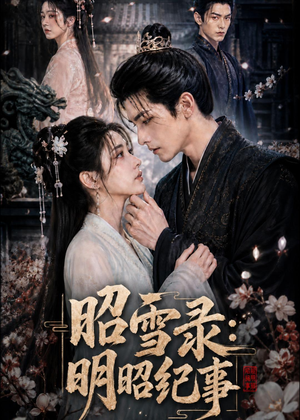 昭雪录：明昭纪事（20集）80到100集
