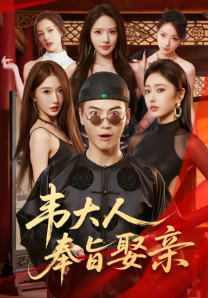韦大人奉旨娶亲(81集) 韦大人奉旨娶亲(81集)好看又上头短剧
