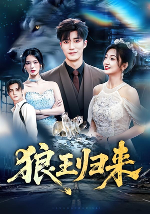 狼王归来（51集）精彩短剧看不停