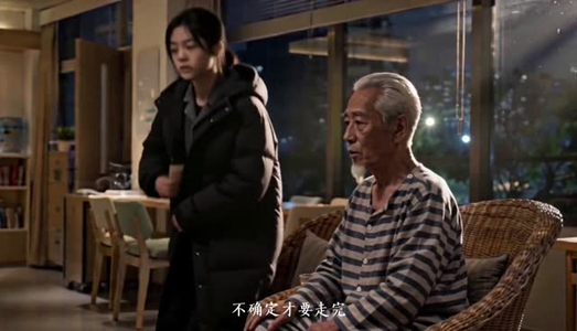 消失的除夕夜（43集）在线免费观影