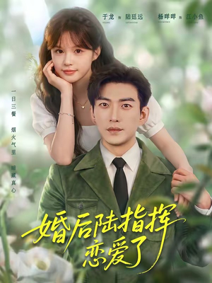 婚后陆指挥沦陷了（89集）精彩短剧下载