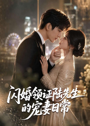 闪婚领证陆先生的宠妻日常（72集）口碑之选免费看