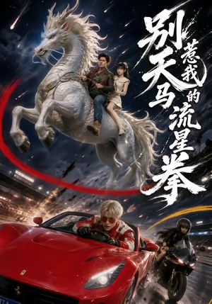 别惹我的天马流星拳(40集) 别惹我的天马流星拳(40集)最新热剧免费看