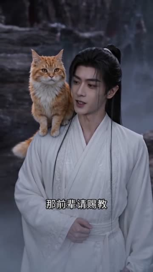 傲娇猫猫今天也想恢复人形（72集）最热短剧推荐