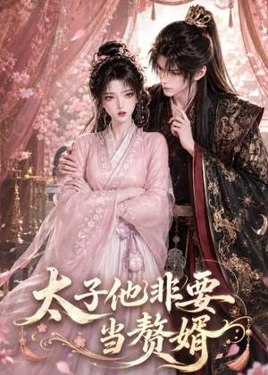 太子他非要当赘婿（31集）好看短剧又来了