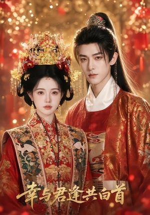 幸与君逢共白首(79集) 幸与君逢共白首(79集)全集我都看完了