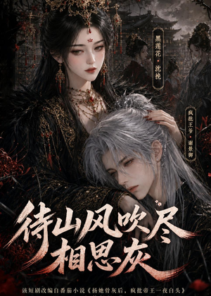 待山风吹尽相思灰（112集）热门短剧大全