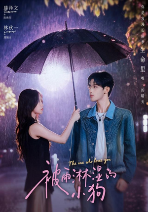 被雨淋湿的小狗（80集）热门短剧推广