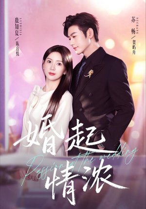 婚起情浓（99集）热门短剧在线看