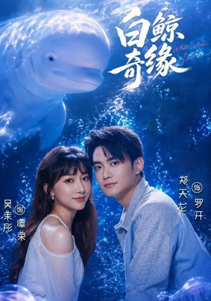 白鲸奇缘（52集）免费看短剧全集