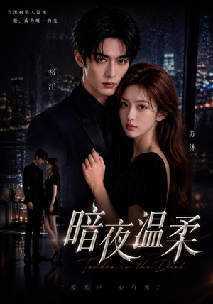 暗夜温柔(25集) 暗夜温柔(25集)1-102集