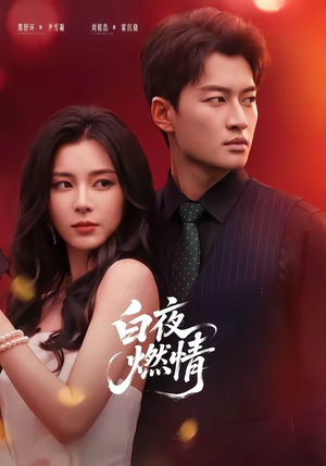 白夜燃情(64集) 白夜燃情(64集)全季一次看完