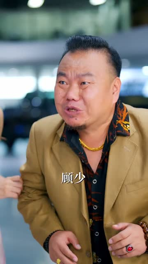 转身已是沪海之巅（67集）精彩短剧热播