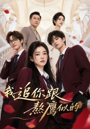 我追你跟熬鹰似的（95集）精彩短剧后续