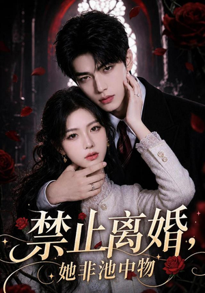 禁止离婚，她非池中物（144集）追短剧关注我