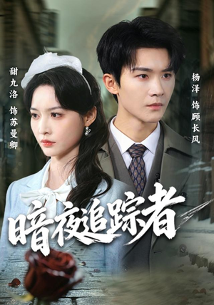 暗夜追踪者（61集）经典老剧免费看
