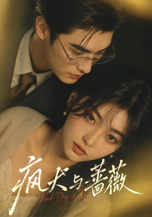 疯犬与蔷薇（48集）完整版