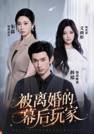 被离婚的幕后玩家(61集) 被离婚的幕后玩家(61集)全集免费