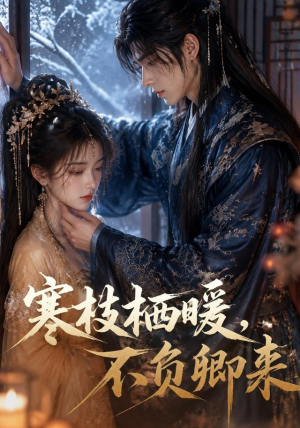 寒枝栖暖，不负卿来（50集）360网盘观看